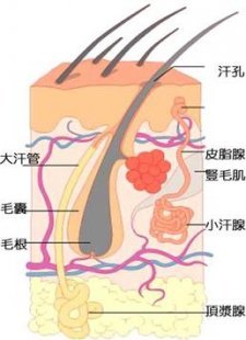 腋臭的症状有哪些