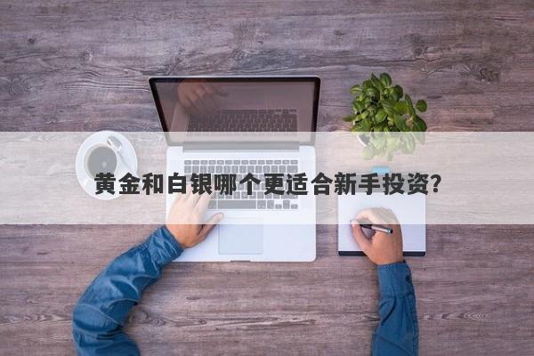 黄金和白银哪个更适合新手投资？