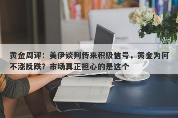 黄金周评：美伊谈判传来积极信号，黄金为何不涨反跌？市场真正担心的是这个