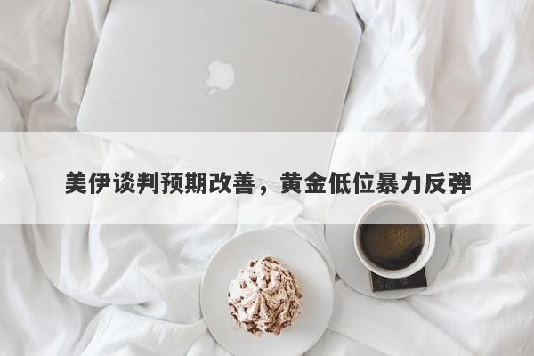 美伊谈判预期改善，黄金低位暴力反弹