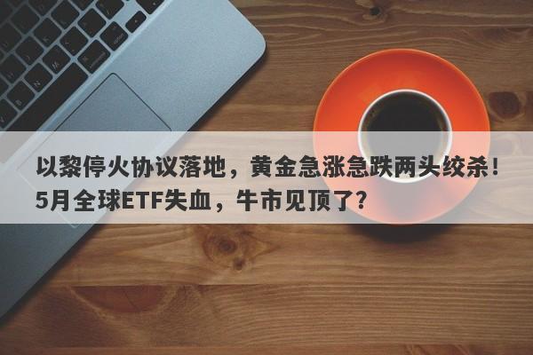 以黎停火协议落地，黄金急涨急跌两头绞杀！5月全球ETF失血，牛市见顶了？