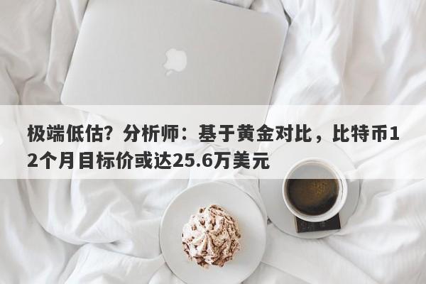 极端低估？分析师：基于黄金对比，比特币12个月目标价或达25.6万美元