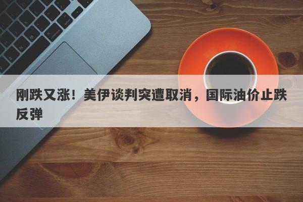 刚跌又涨！美伊谈判突遭取消，国际油价止跌反弹