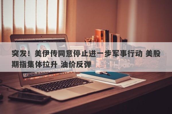 突发！美伊传同意停止进一步军事行动 美股期指集体拉升 油价反弹