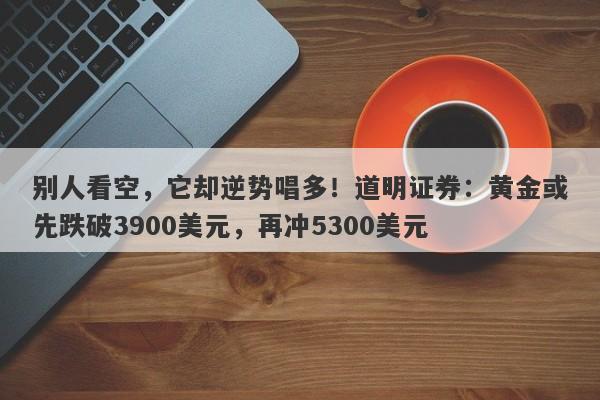 别人看空，它却逆势唱多！道明证券：黄金或先跌破3900美元，再冲5300美元