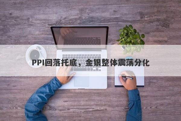 PPI回落托底，金银整体震荡分化