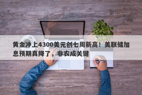 黄金冲上4300美元创七周新高！美联储加息预期真降了，非农成关键