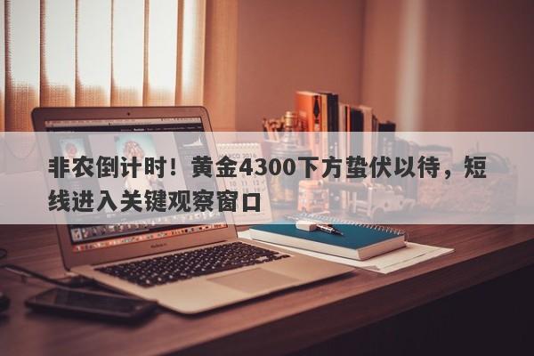 非农倒计时！黄金4300下方蛰伏以待，短线进入关键观察窗口