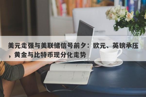 美元走强与美联储信号前夕：欧元、英镑承压，黄金与比特币现分化走势