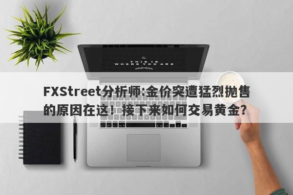 FXStreet分析师:金价突遭猛烈抛售的原因在这！接下来如何交易黄金？